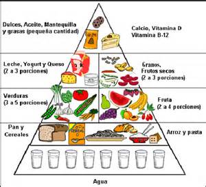 Piramide alimenticia